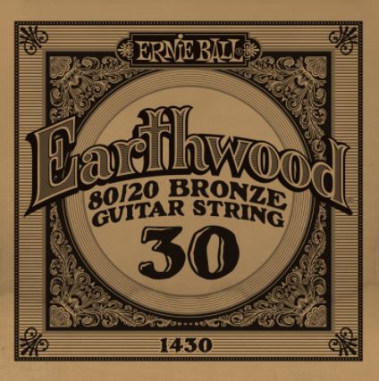 Ernie Ball Earthwood Single .030