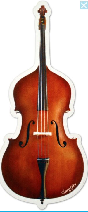 Magnet Upright Bass