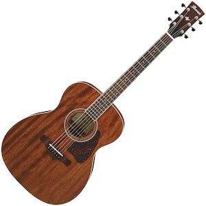 Guitar Acoustic Ibanez AC Solid Oko