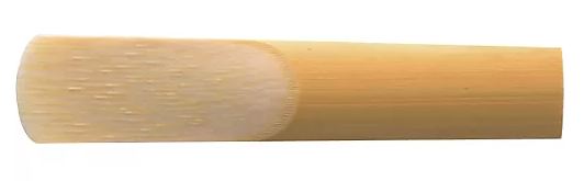 Rico Clarinet Reed 3