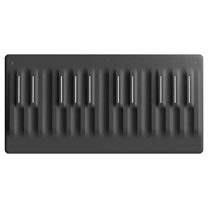 Roli Seaboard Block