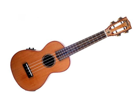 Ukelele Master Series all Solid Concert