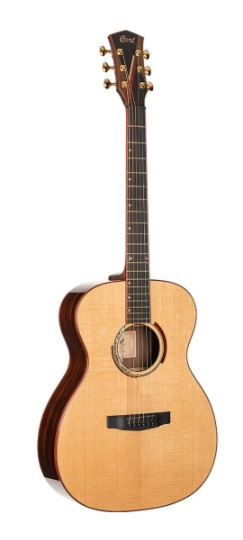 Cort Masterpiece Abstract Delta Guitar