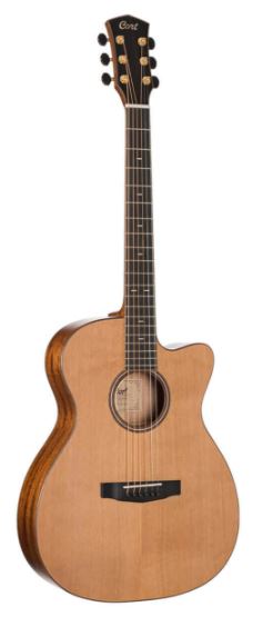 Cort All Solid Red Cedar Top - L.R Baggs - W/Case
