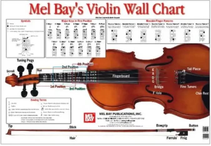 Violin Wall Chart