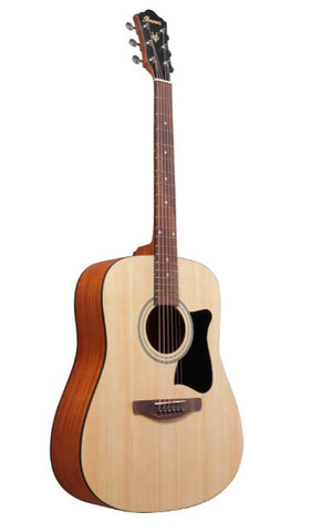Guitar Acoustic Ibanez NEW