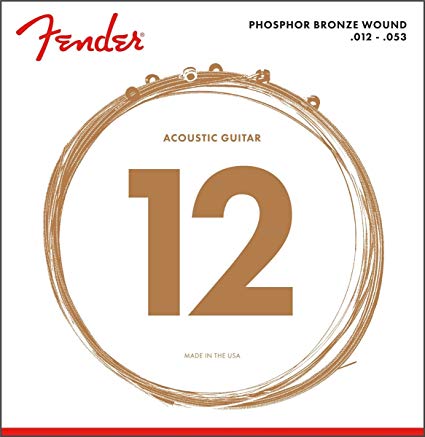 12-53 Phos Bronze Strings