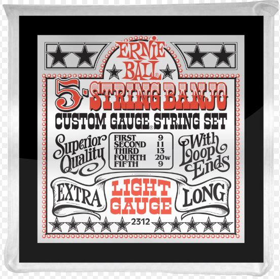 Ernie Ball 2312 5-String Banjo Set Light
