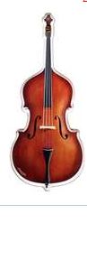 Magnet Upright Bass