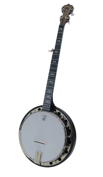 Deering Artisian Goodtime 2 -5 String Banjo