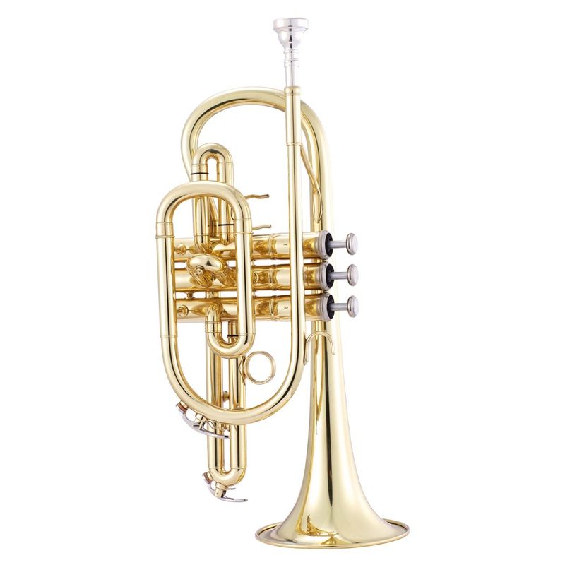 JP B Flat Cornet Lacquer