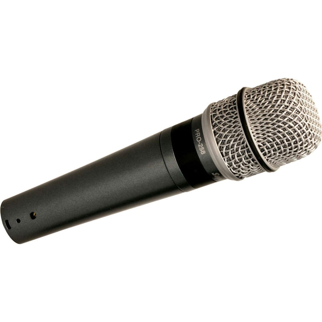 Dynamic Musical Instrument Mic