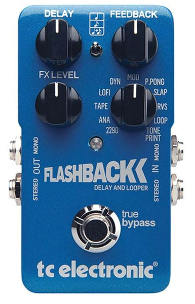 Delay Pedal W/Mash Technology