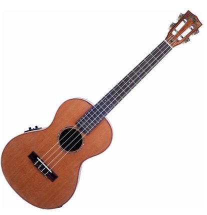 Ukelele Master Series All Solid Baritone