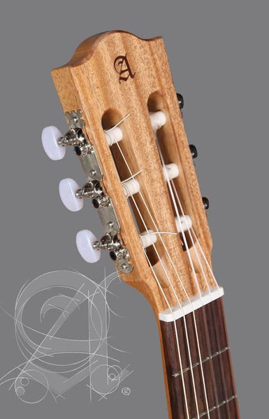 Alhambra Z Nature Classical Guitar W/Bag