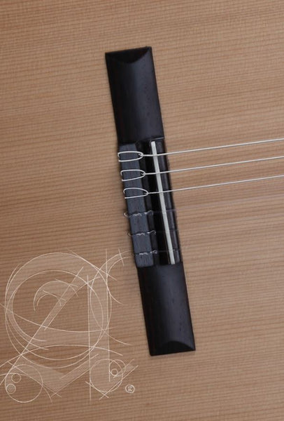 Alhambra Z Nature Classical Guitar W/Bag