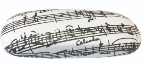 Music Notes Glasses Case