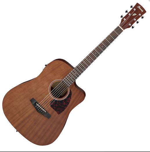 Guitar Dreadnought Ibanez AEQT Okoum